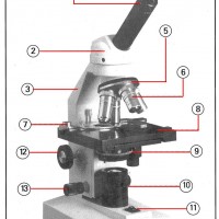 Строение микроскопа