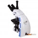 Фазово-контрастный микроскоп Levenhuk MED 45T 40x-1000x Trino с темным полем