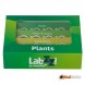 Набір мікропрепаратів Levenhuk LabZZ P12, рослини