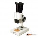 Микроскоп Levenhuk 2ST 40х бинокулярный