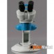 Мікроскоп AmScope SW-1BR24-V331 Stereo Bino 20x-40x LED