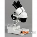 Мікроскоп AmScope SE303-P Stereo Bino 10x-30x