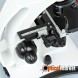 Мікроскоп Delta Optical BioLight 300 з камерою Delta Optical DLT-Cam Basic 2MP