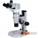 Мікроскоп Delta Optical IPOS-810 з регульованим кутом нахилу тубусів