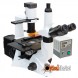 Мікроскоп Delta Optical IB-100. Огляд