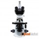 Микроскоп Optika B-293PL 40x-1000x Trino