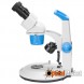 Мікроскоп Sigeta MS-214 LED 20x-Bino 40x Stereo