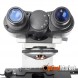 Мікроскоп Sigeta MB-502 40x-1600x LED Bino Plan-Ахроматичні
