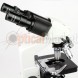 Мікроскоп Bresser Bino Researcher 40x-1000x