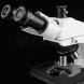 Микроскоп Bresser Science Infinity 40x-1000x