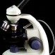 Мікроскоп Delta Optical BioLight 500 40x-1000x