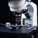 Мікроскоп Delta Optical Genetic Pro Trino. Огляд.