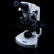 Мікроскоп Delta Optical Genetic Pro Mono (A)