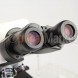 Мікроскоп Nikon Eclipse E100 Bino