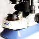 Микроскоп Delta Optical Evolution 100 Bino