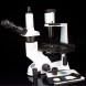 Микроскоп Delta Optical IB-100. Обзор