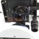 Мікроскоп Optika B-192PLi 40x-1600x Bino Infinity. Огляд