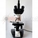 Мікроскоп Sigeta MB-301