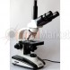 Микроскоп Sigeta MB-301