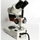 Микроскоп Ningbo ST-D-L