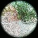 Прицел коллиматорный Hawke Vantage Red Dot 1x30 (9-11mm)