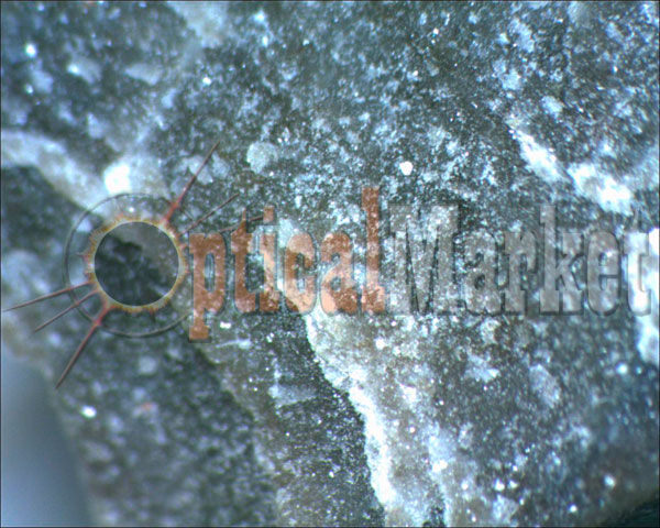 Детский микроскоп Bresser Biolux ICD 20x, цифровая камера ScopeTek DCM130E