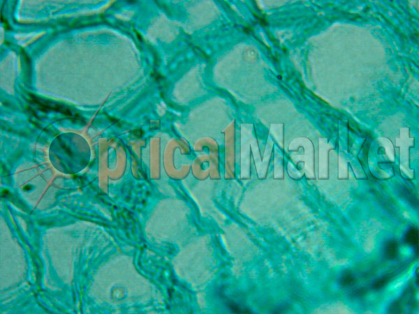 Купить микроскоп Bresser Biolux LCD 40x-1600x
