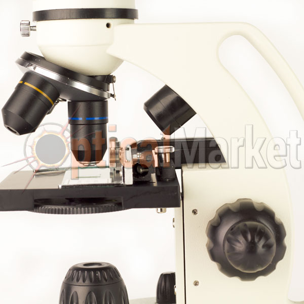 Микроскоп Delta Optical BioLight 300 для школьников