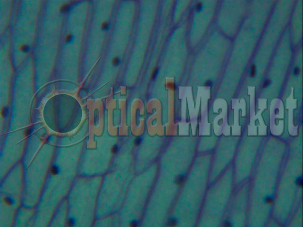 Детский микроскоп Bresser Junior PC-ocular 40x-1024x