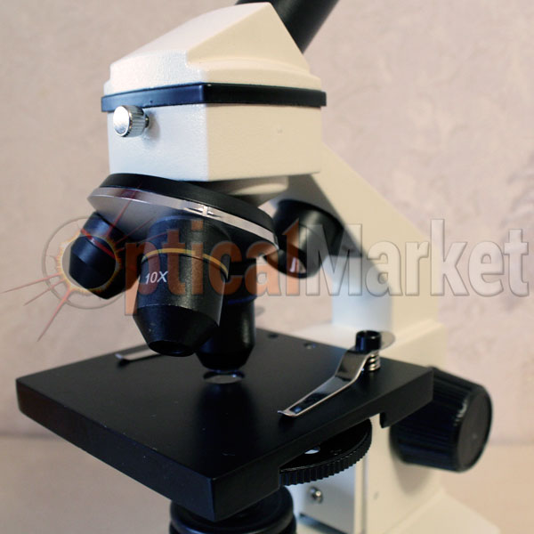 Купить детский микроскоп Levenhuk 3L NG