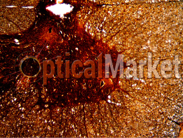 Биологический микроскоп Optika B-155R 40x-1000x Mono rechargeable